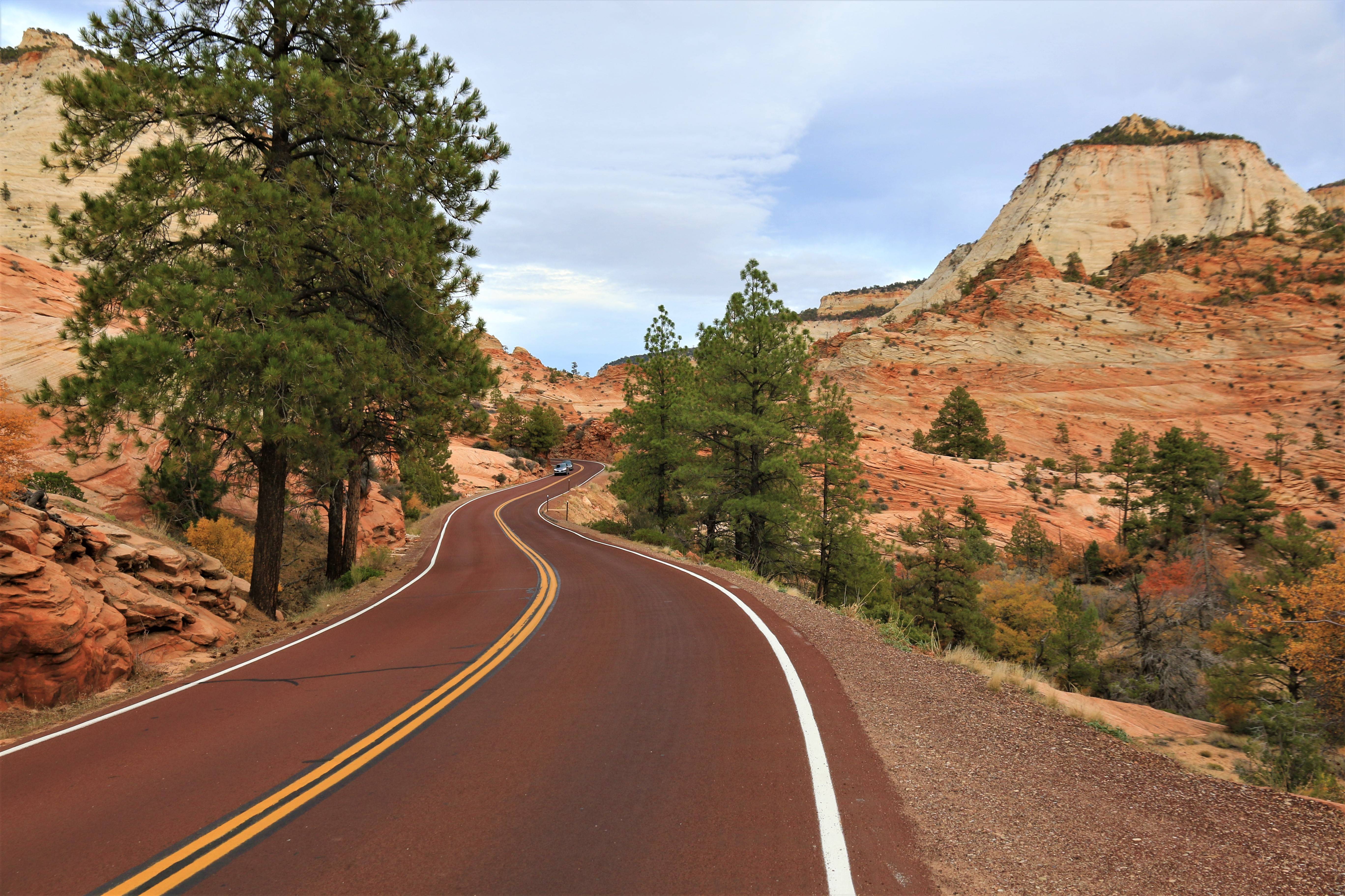 Zion NP